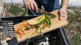 Gros plan d'une main tenant une planche en bois pour jeter des déchets alimentaires au compost